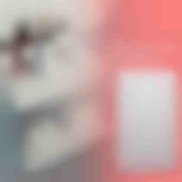 Išplečiamas lentynų stelažas | SHELFEXPEND