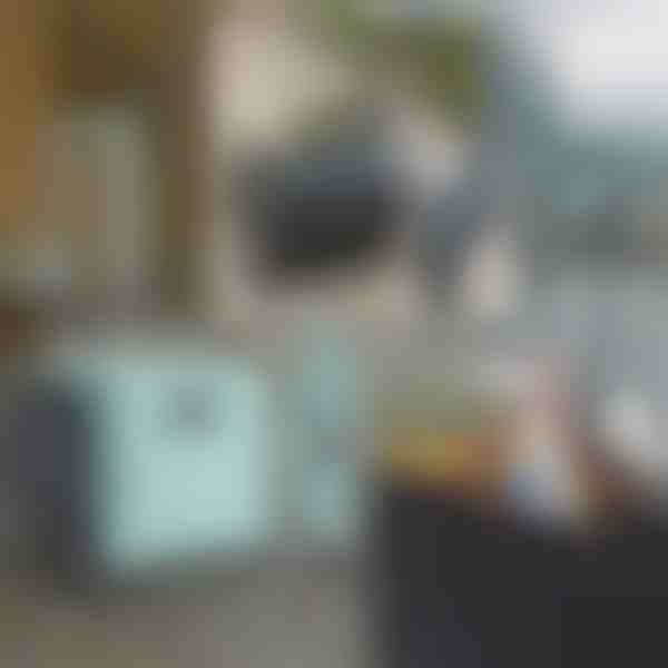 Daugiafunkcinis vežimėlis | CARRYMAX