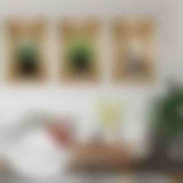 3D sienų lipdukai (3 vnt.) | VASUART