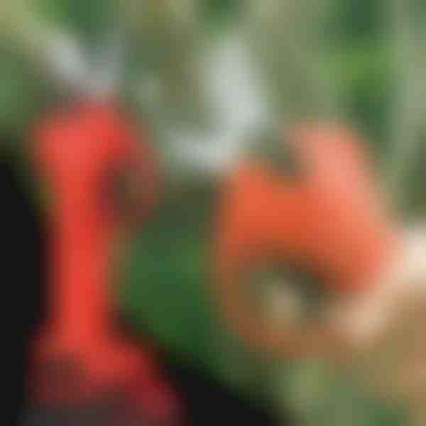 Elektrinės genėjimo žirklės, belaidės sodui ir vaismedžių sodui | WHIZZPRUNER