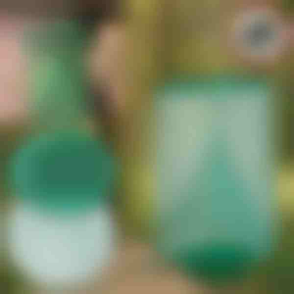 Daugkartinio naudojimo pakabinama musių gaudyklė sodui, terasai ir balkonui | INSECTA