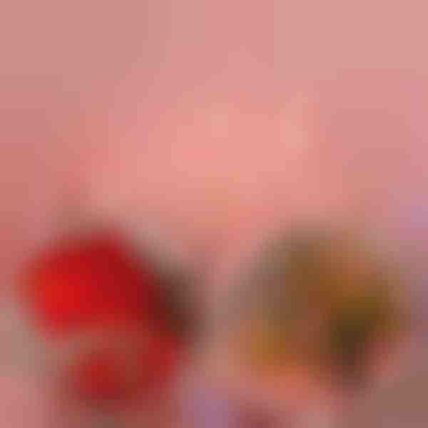 LED rožių lemputės (2 m) | LUMEROSE