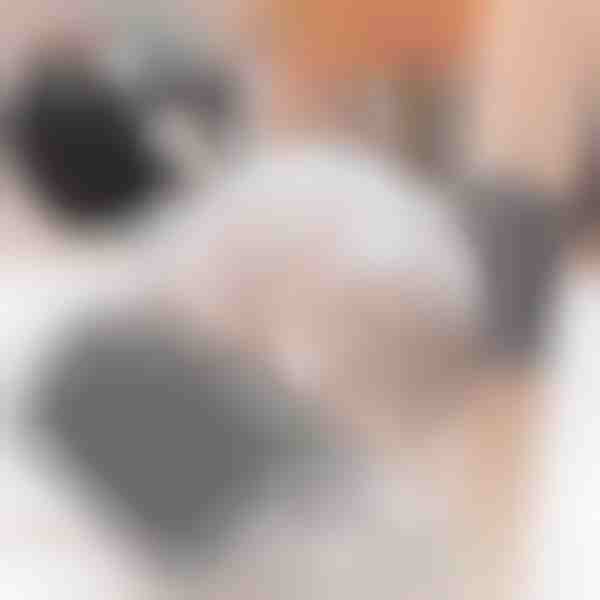 Savarankiško šukavimosi aparatas katėms (2 vnt.) | PURRCORNER