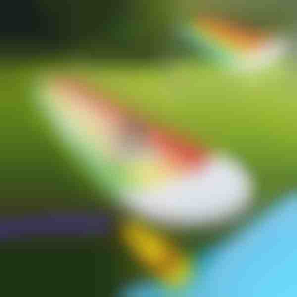 Pripučiama vandens čiuožykla (465x80 cm) | REEFLY