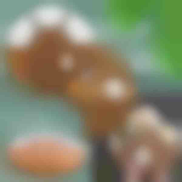 Užkandžių serviravimo padėklų rinkinys | SNACKPLATTER