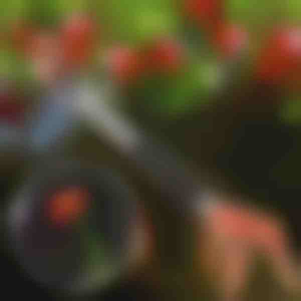 Medžių genėjimo žirklės | TREESNIP