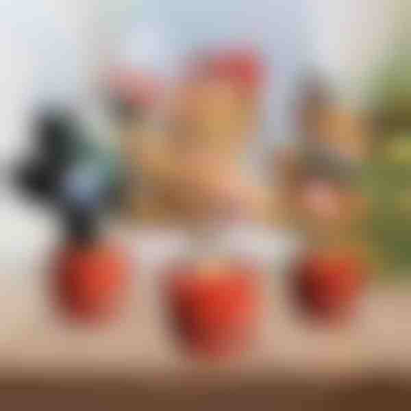 Kalėdinis interaktyvus šokių žaislas | DANCETKO