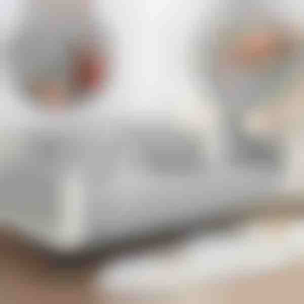 Pliušinis sofos užvalkalas | VELVECO