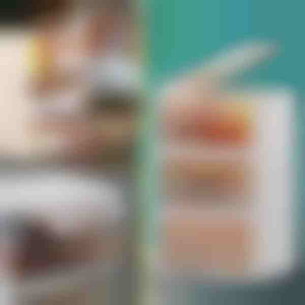 Daiktadėžė su dangčiu - paruošta per 2 minutes, nereikia įrankių | ORGABOX