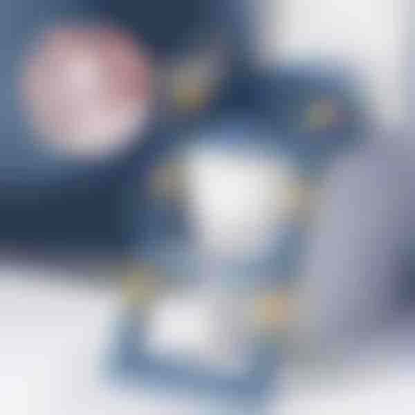 Vaikų tualeto sėdynė su laipteliais | KIDDISTEP