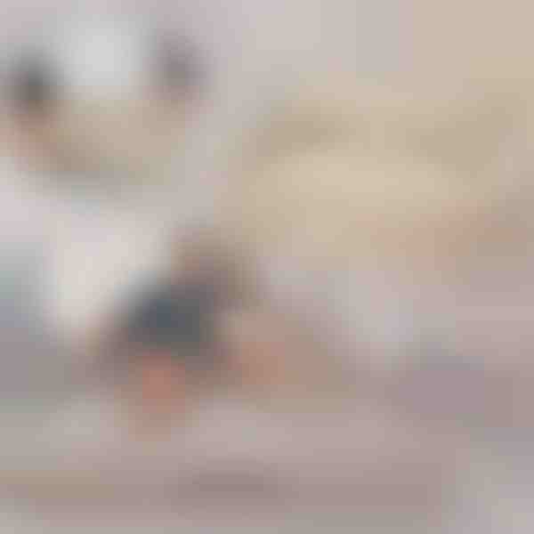 Pripučiama Sofa-Lova (Konvertuojama) | SOFLINKA