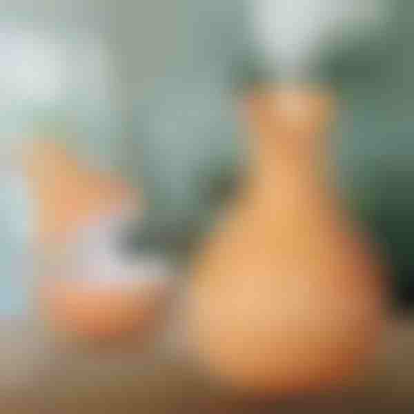 Medinis oro drėkintuvas | HUMISTER