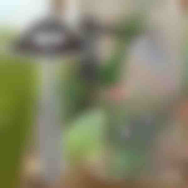 Sodo kauptukas lengvam piktžolių šalinimui | GRASSOE