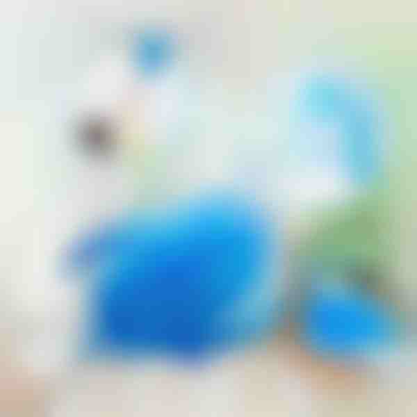 360 laipsnių kampu besisukantys elektriniai dulkių šepetėliai | DUSTER