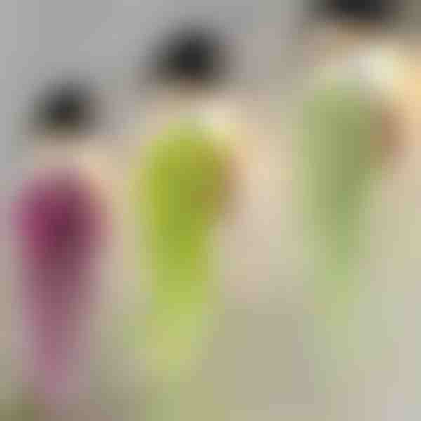 Dekoratyvinis pakabinamas augalas | IVYORA