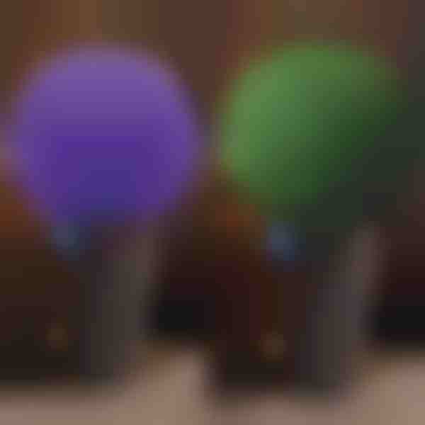 Dekoratyvinis augalų rutulys | TOPIORB