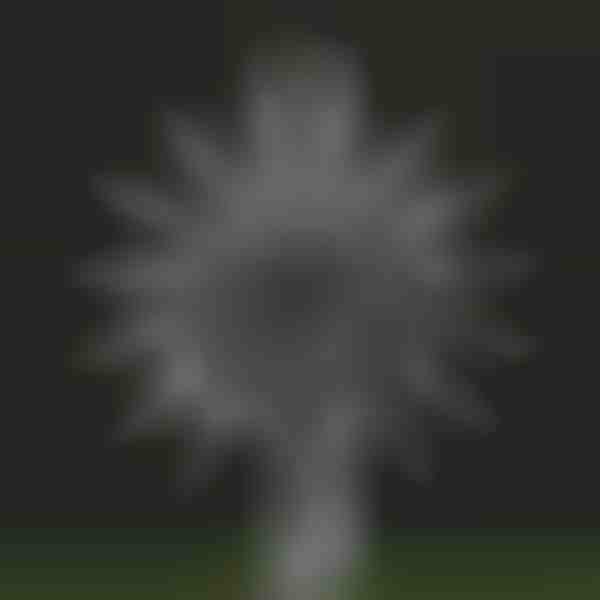 Kinetinis vėjo malūnas Sodo magija