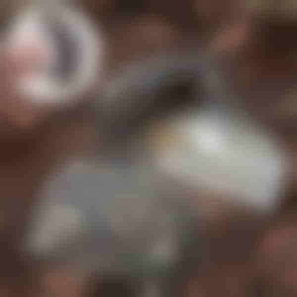 Akmeninis raktų slėptuvas | KEYBLEND