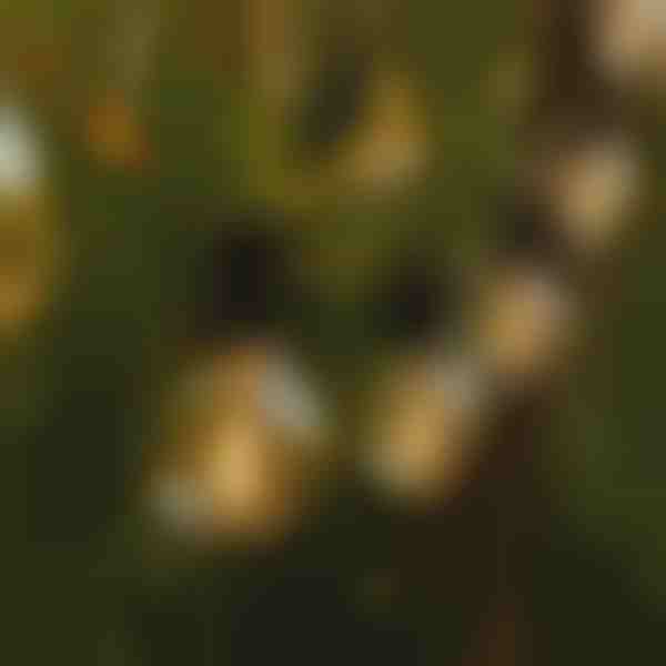 LED lempučių girlianda | YARDBULBS