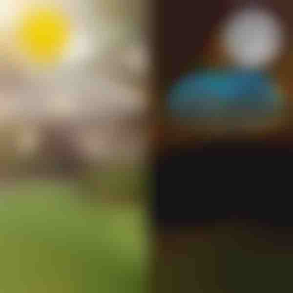 Saulės tropinio sodo šviestuvai | LUMIPALM