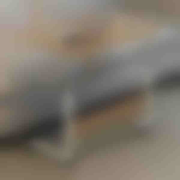 Nešiojamas stalas | EVOSTUL