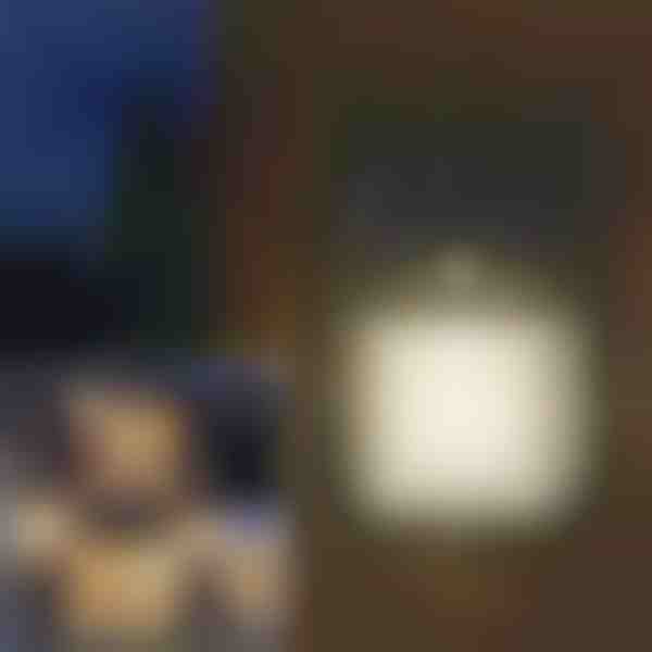 Lauko saulės energijos lempa su judesio jutikliu | FLUXLAMP