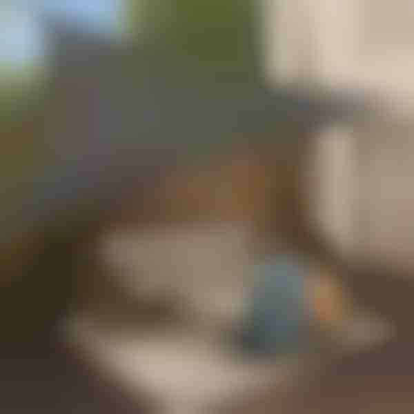 Trikampio formos tentas | SHADI