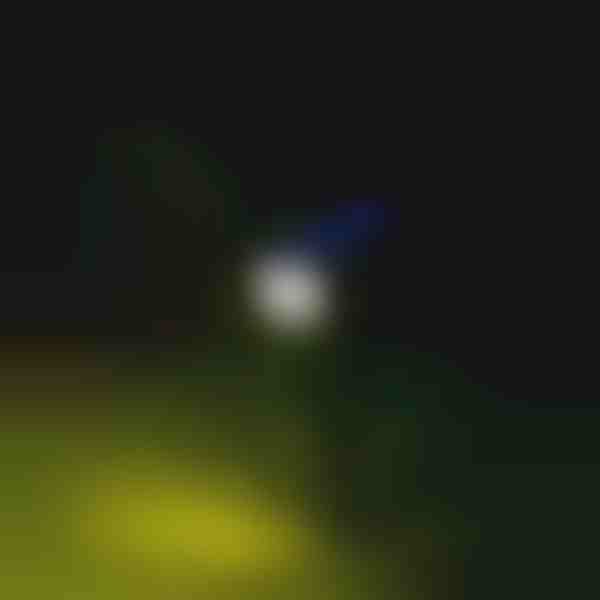 Lauko saulės energijos prožektorius | SPOTIKE