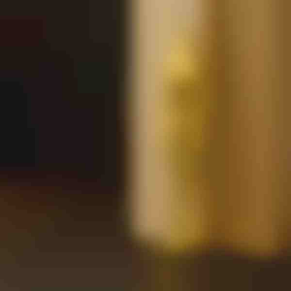 Savisrieginiai ankeriniai varžtai (80 vnt.) | DRAVIK