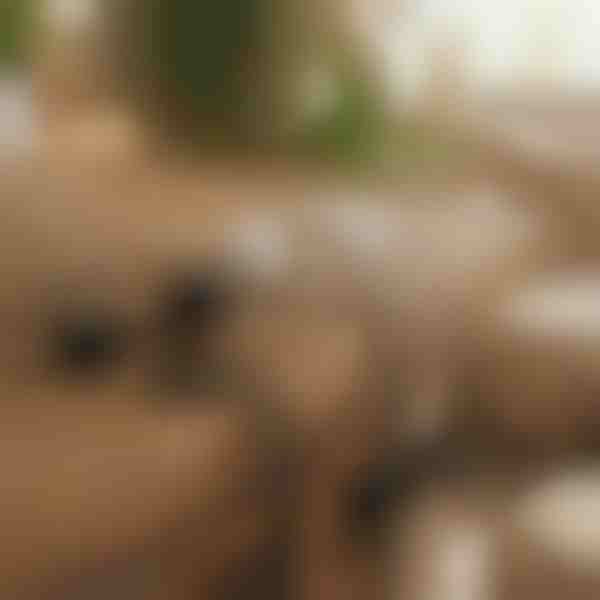 Magnetinis lipnus kabelių organizatorius (12 vnt.) | CABLIP