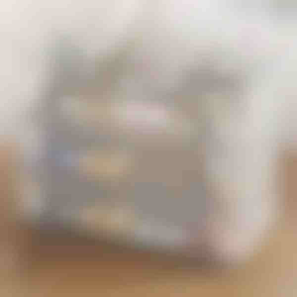 Permatomas sukraunamas batų laikymo dėklas | DURASTOR