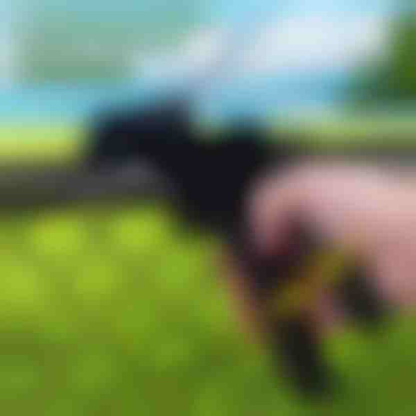 Tvirto naudojimo kabelių surišimo įrankis | ZIPFLEX