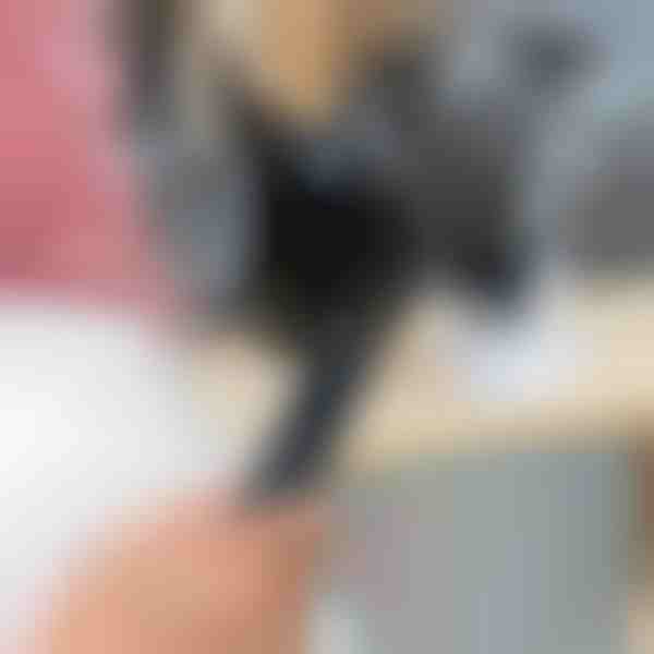 Paslėptų kamerų signalo detektorius | SPYSCAN